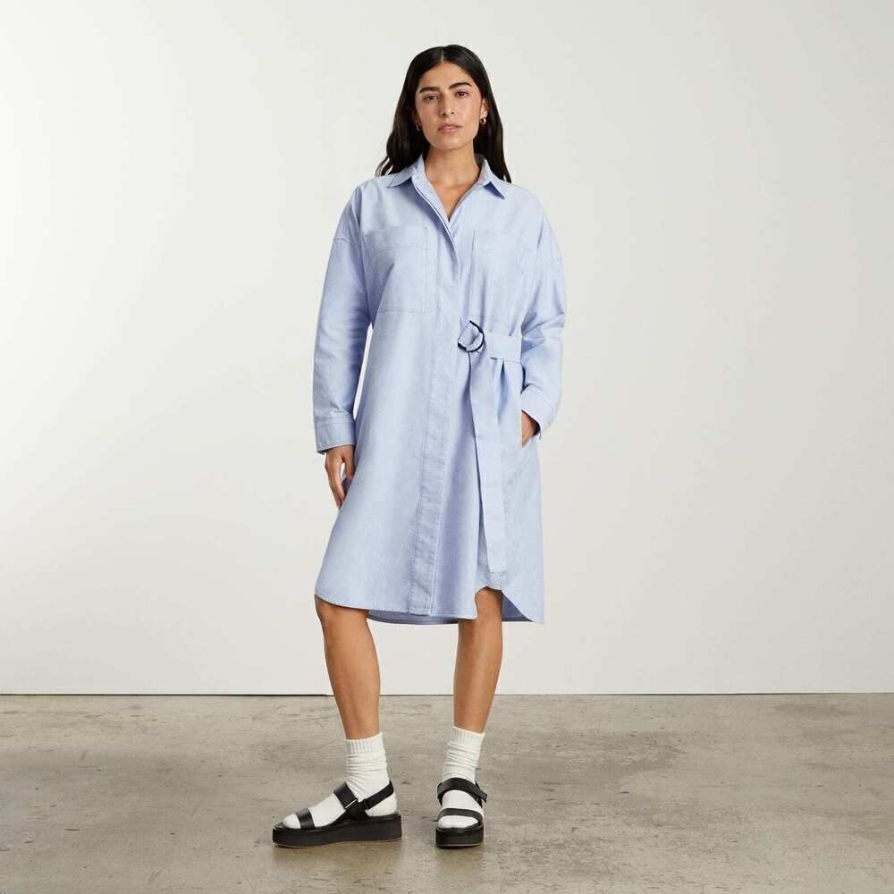 Everlane The Oxford Shirtdress Blue Base - Size XS